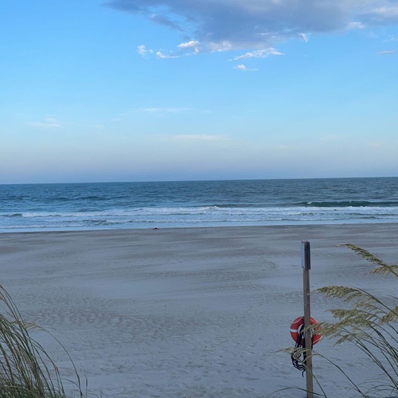 Meet your Posher, Riley - Picture 1 of 1